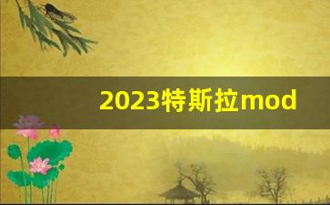 2023特斯拉model y落地价